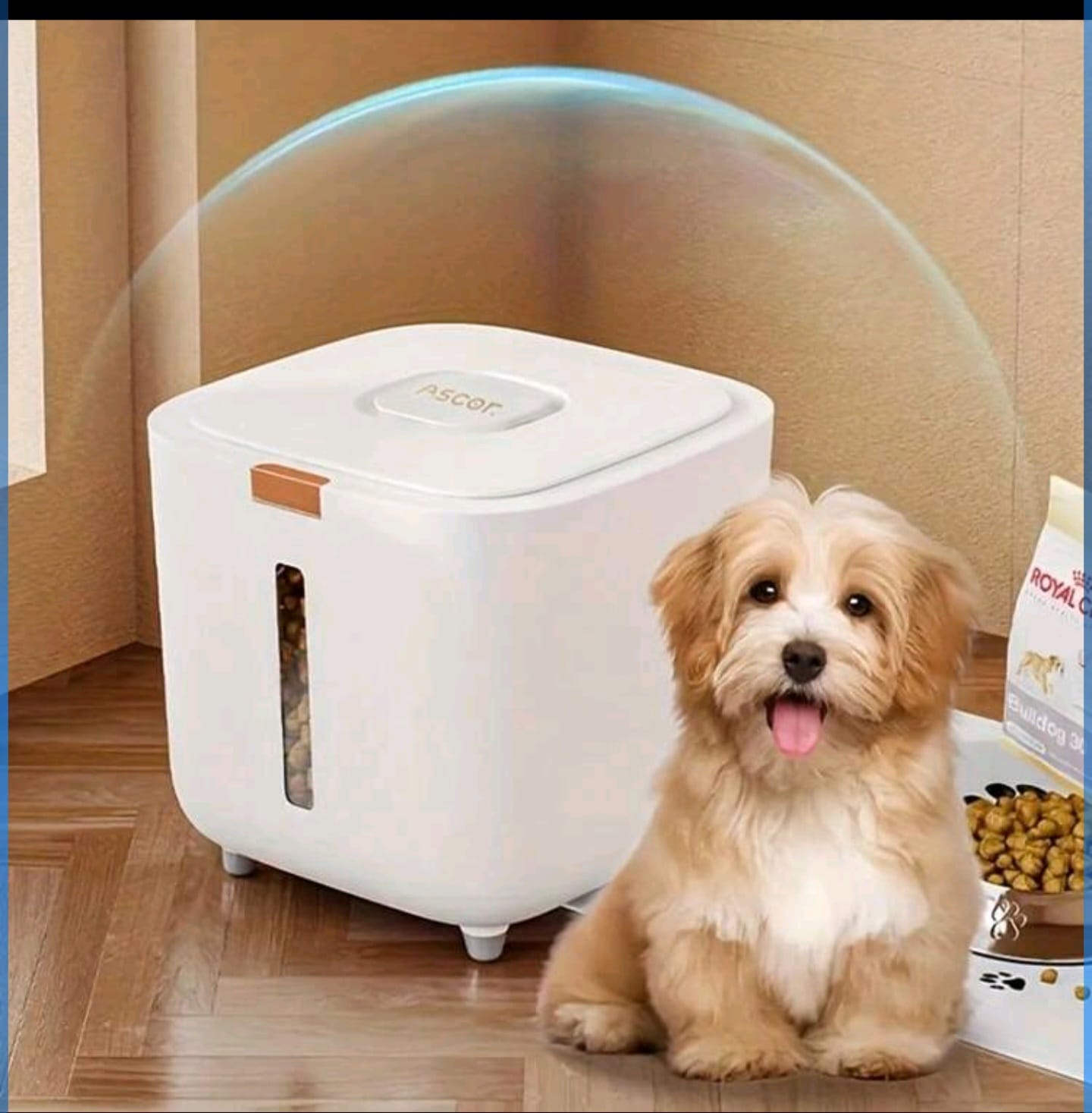 FoodGuard | מיכל אחסון אטום לאוכל לחתולים וכלבים