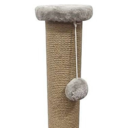 תקרוב Hoofie Y-22020
