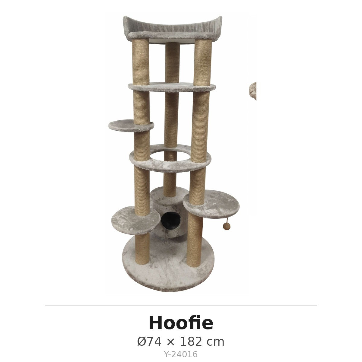 מידות Hoofie Y-24016
