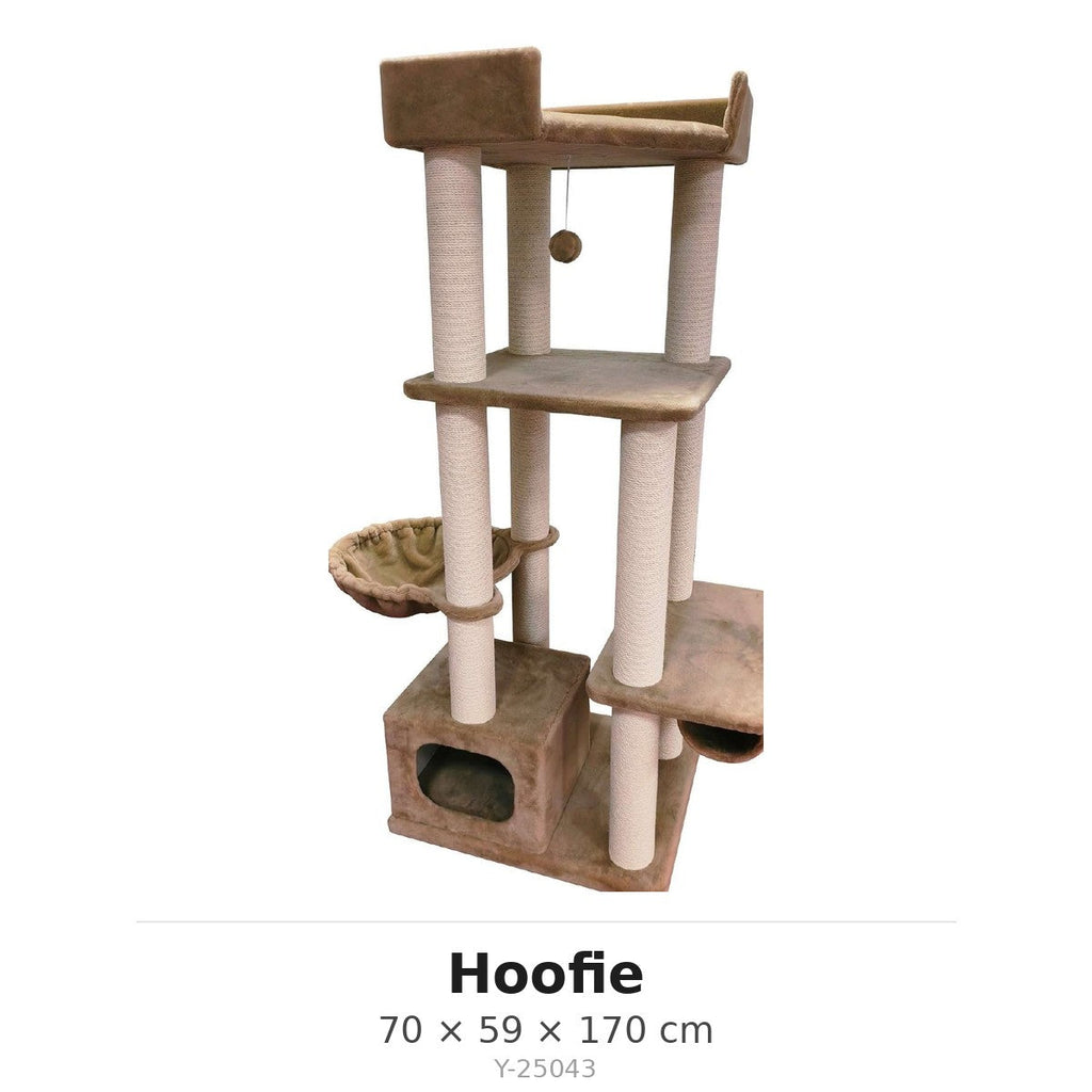 מידות Hoofie Y-25043