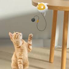 צעצוע חתולים אוטומטי | Automatic Cat Toy